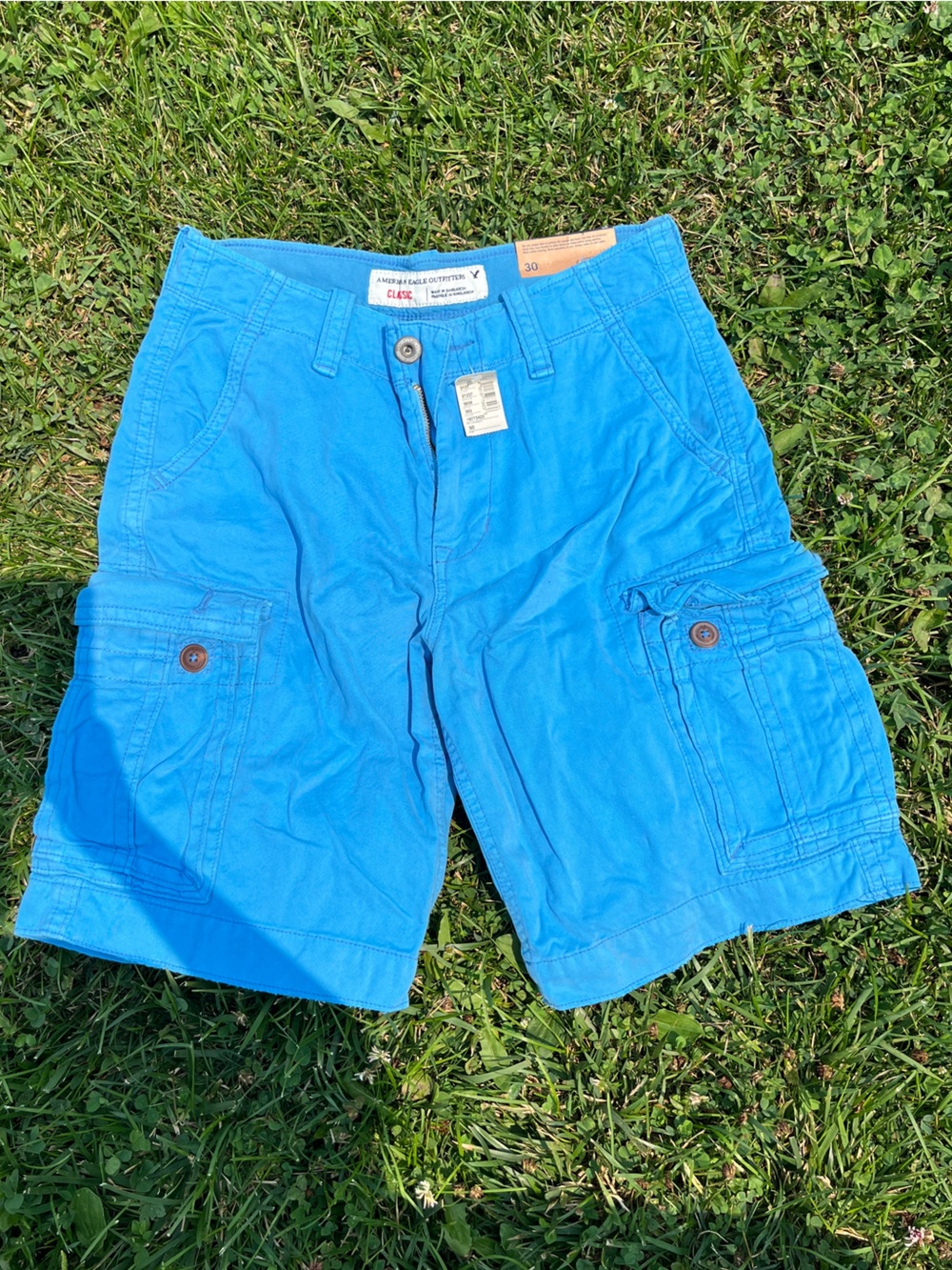 American Eagle Outfitters Bright Blue Shorts